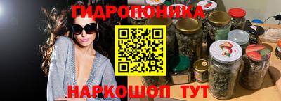 прущие грибы Пушкино