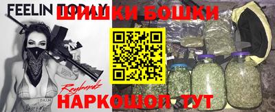 прущие грибы Пушкино