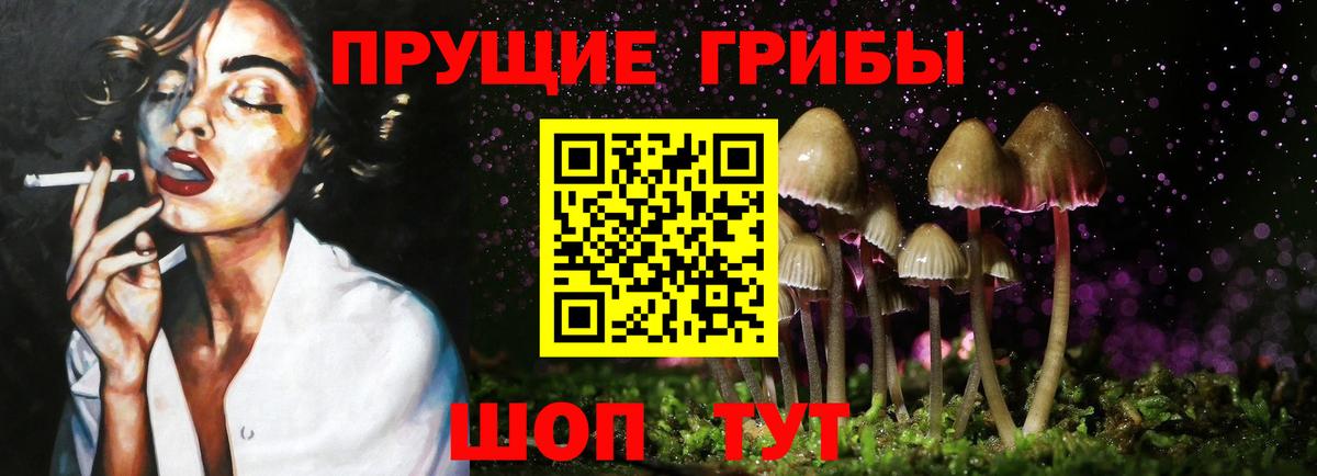 Петрозаводск  Галлюциногенные грибы Cubensis  Вход с VPN 