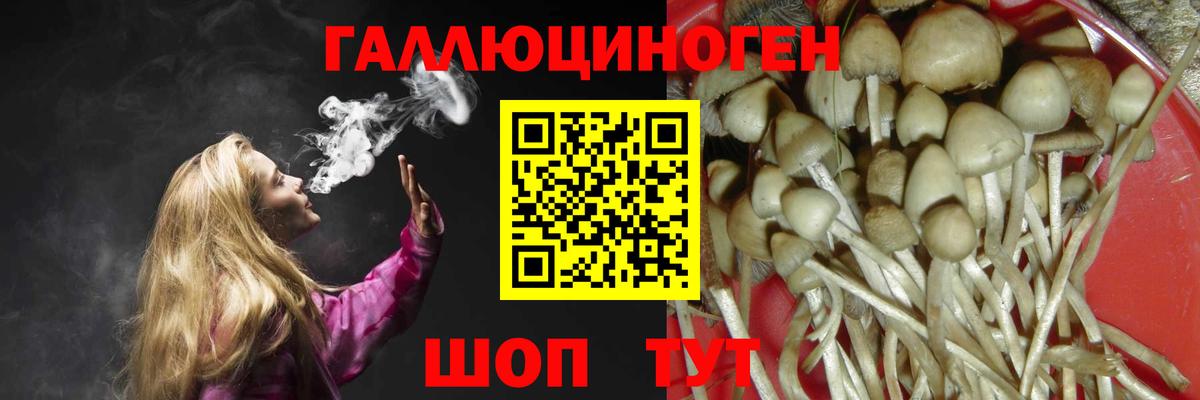 Галлюциногенные грибы Cubensis Петрозаводск